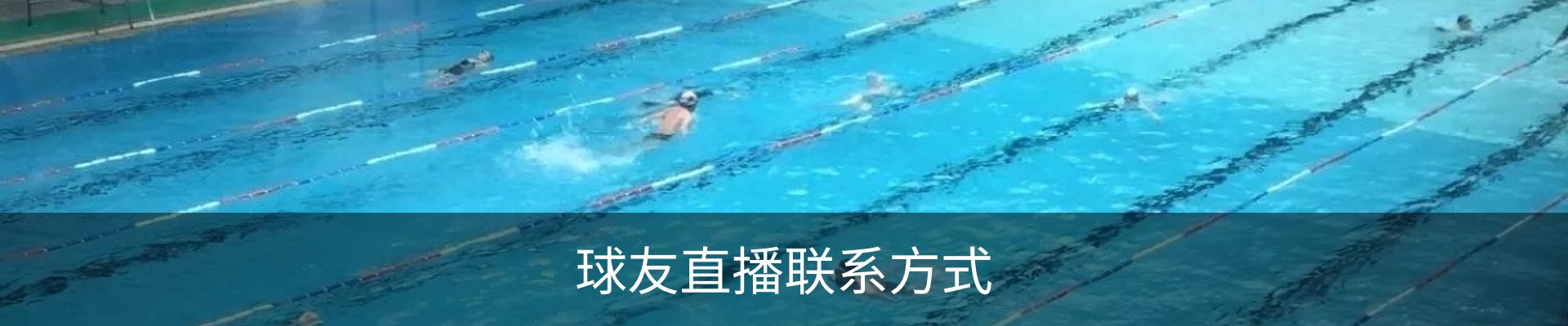 球友直播联系方式